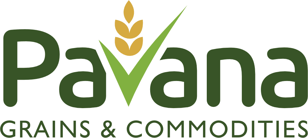 pavana-logo